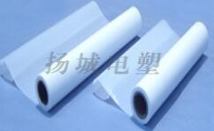 ���ķ���ϩ���Ӧ�÷���Ӧע�������