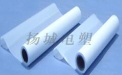 ���ķ���ϩ������Ӧ�������ѳ�Ϊ���ɻ�ȱ�Ĳ���